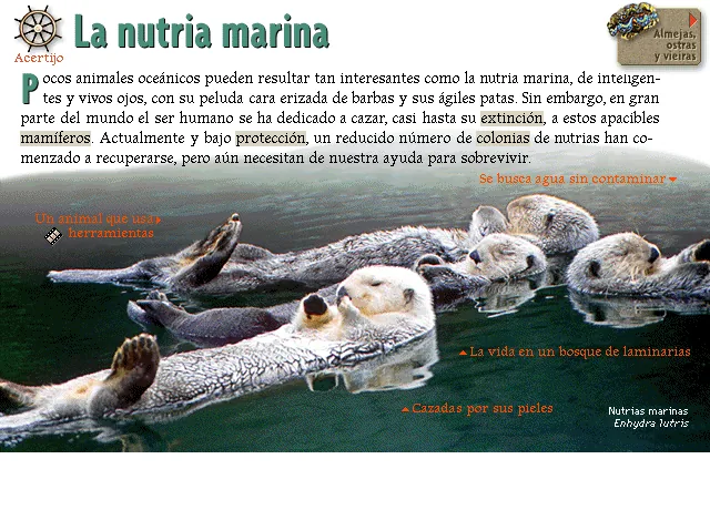 La nutria marina