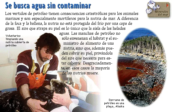 Se busca agua sin contaminar