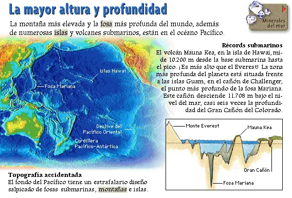 La mayor altura y profundidad