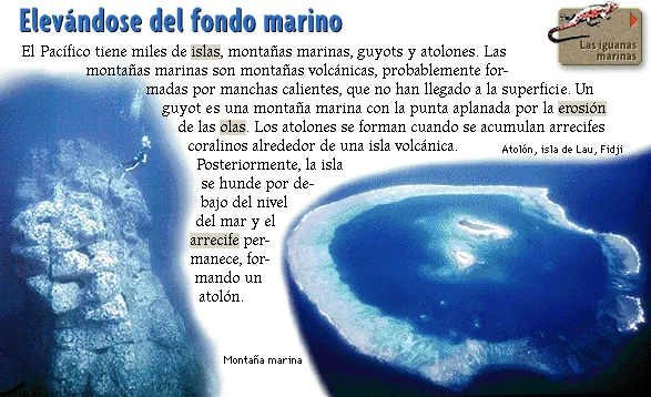 Elevándose del fondo marino
