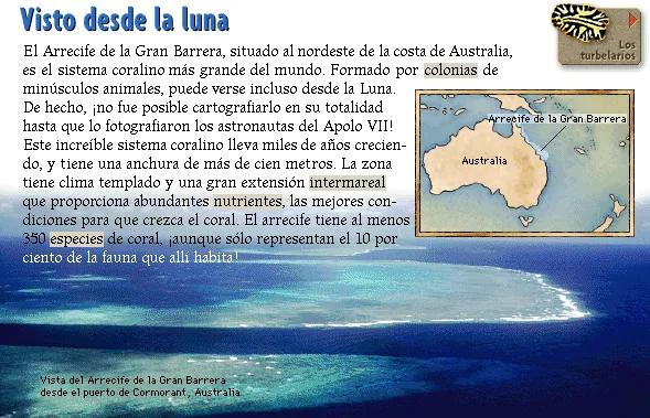 Visto desde la luna