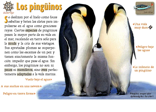 Los pingüinos