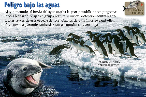 Peligro bajo las aguas