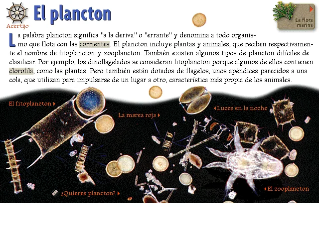 El plancton