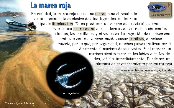 La marea roja