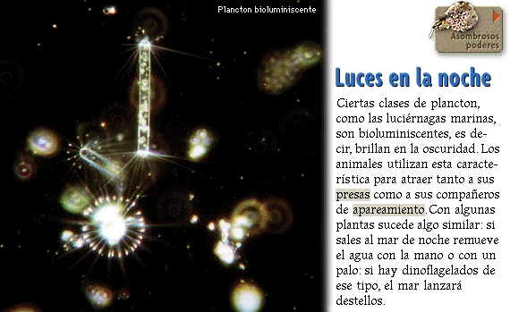 Luces en la noche