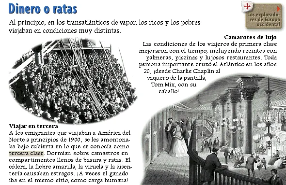 Dinero o ratas