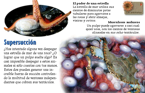 Supersucción