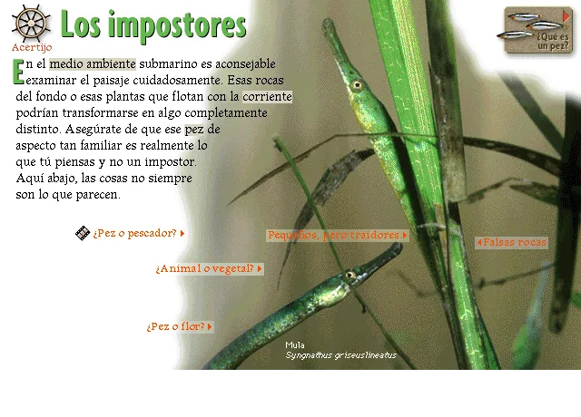 Los impostores