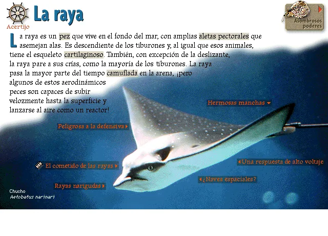 La raya