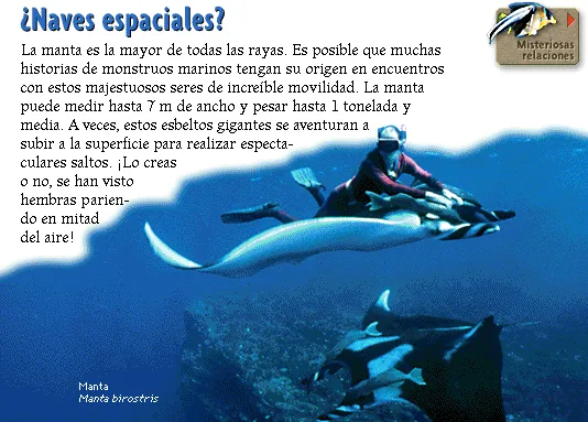 ¿Naves espaciales?