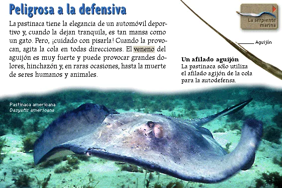 Peligrosa a la defensiva