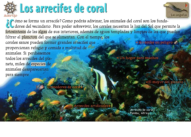 Los arrecifes de coral