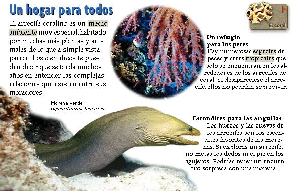 Un hogar para todos