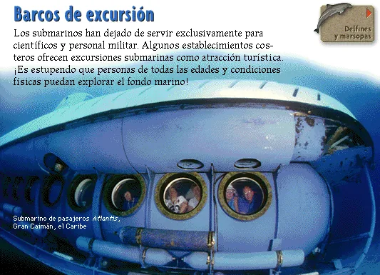 Barcos de excursión