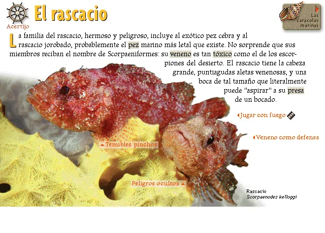 El rascacio