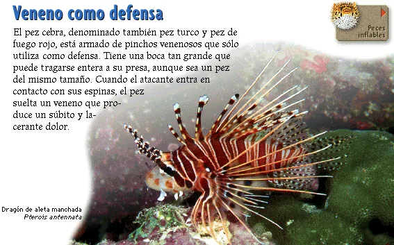 Veneno como defensa