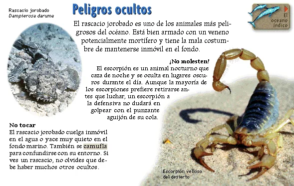 Peligros ocultos