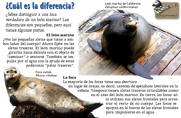 ¿Cuál es la diferencia?