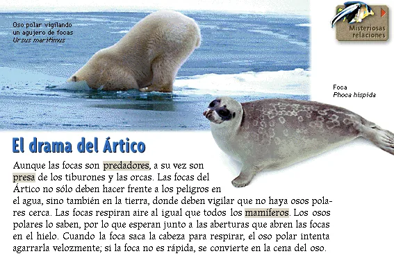 El drama del Ártico