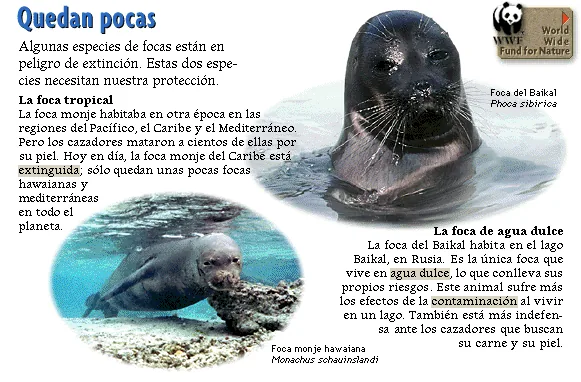 Quedan pocas