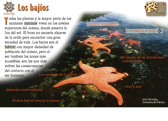 Los bajíos