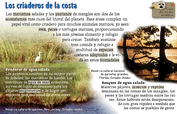 Los criaderos de la costa