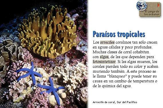 Paraísos tropicales