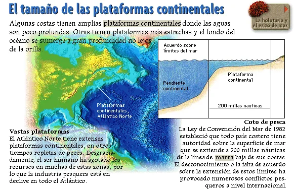 El tamaño de las plataformas continentales