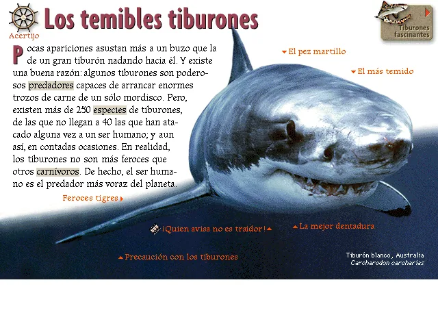 Los temibles tiburones