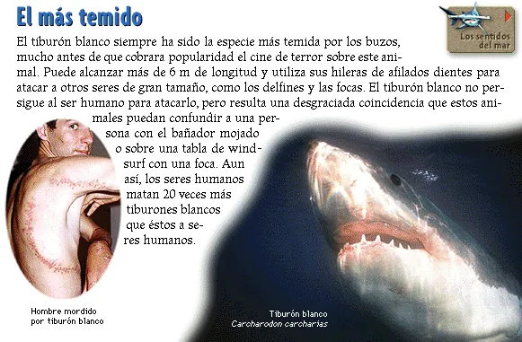 El más temido