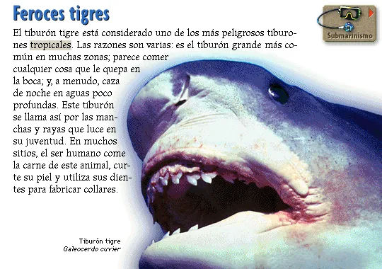 Feroces tigres