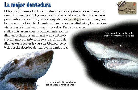 La mejor dentadura