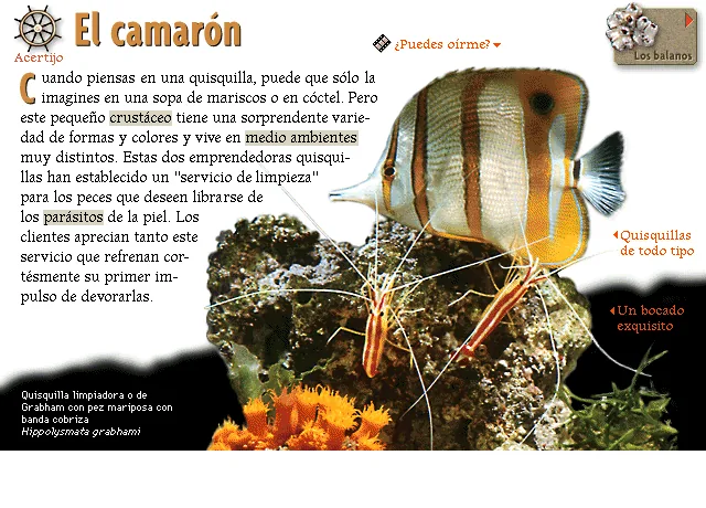 El camarón