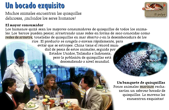 Un bocado exquisito