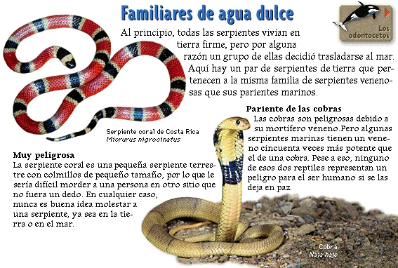 Familiares de agua dulce