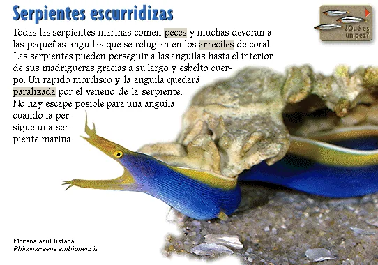 Serpientes escurridizas