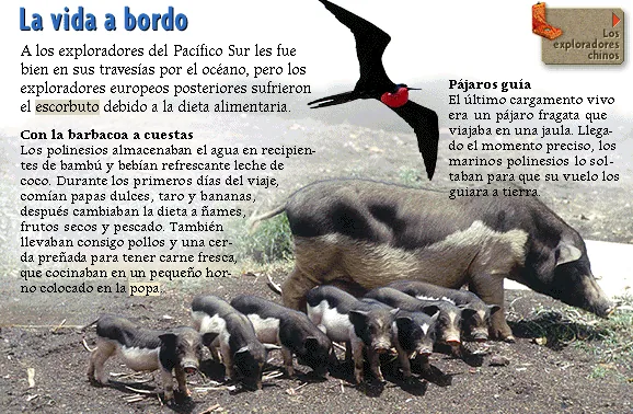 La vida a bordo