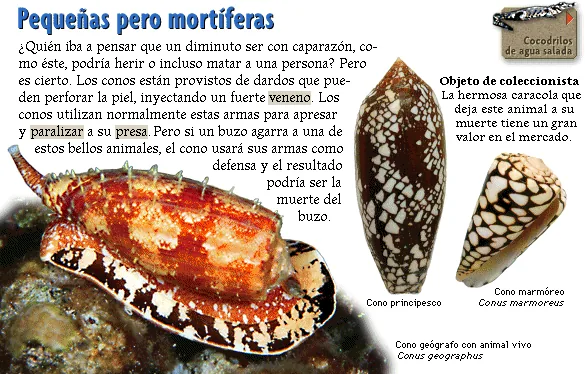 Pequeñas pero mortíferas
