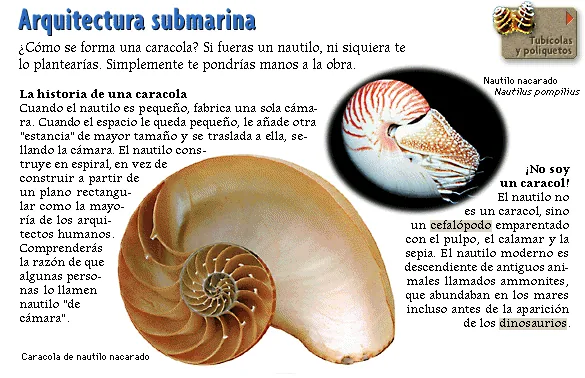 Arquitectura submarina