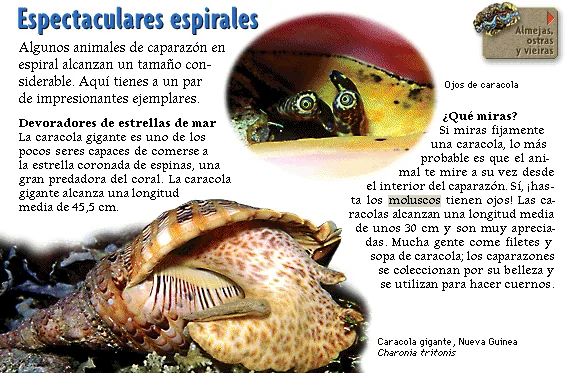 Espectaculares espirales