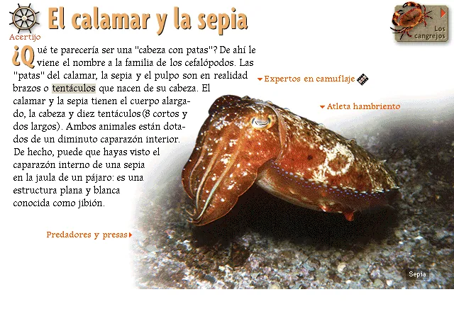 El calamar y la sepia