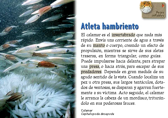 Atleta hambriento