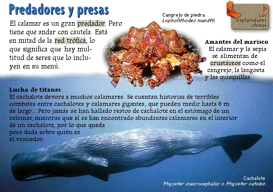 Predadores y presas