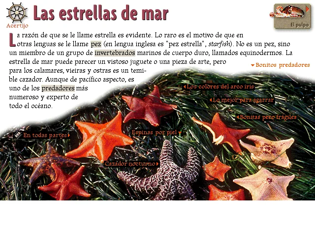 Las estrellas de mar