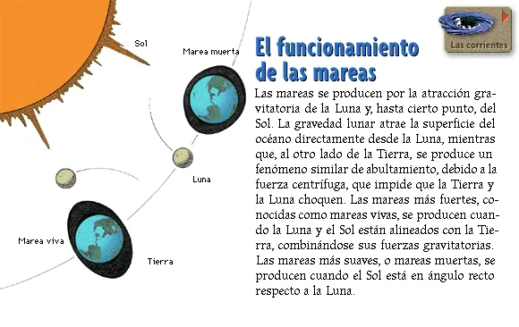 El funcionamiento de las mareas