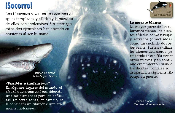 ¡Socorro!