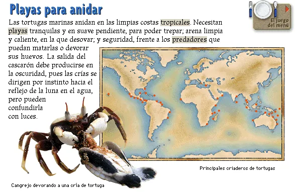 Playas para anidar