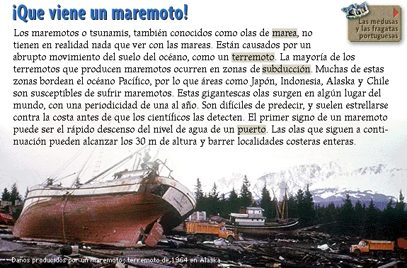 ¡Que viene un maremoto!