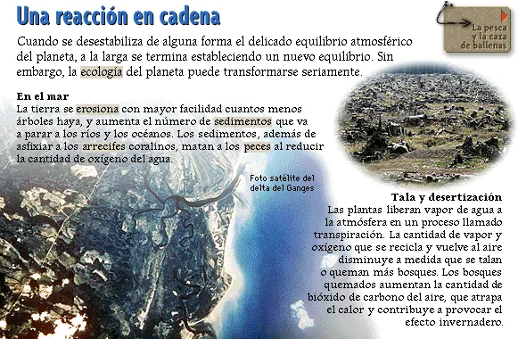 Una reacción en cadena